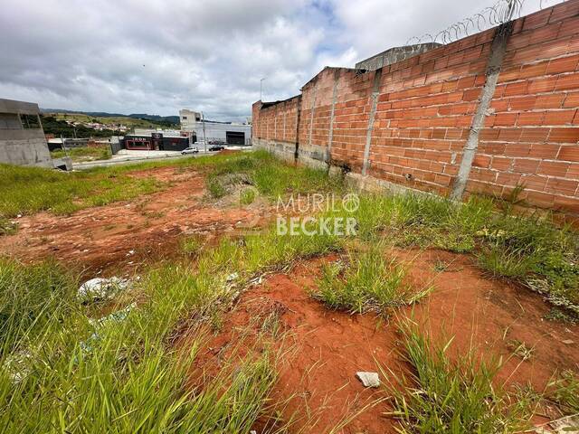#TE1607 - Terreno para Venda em São José dos Campos - SP - 3