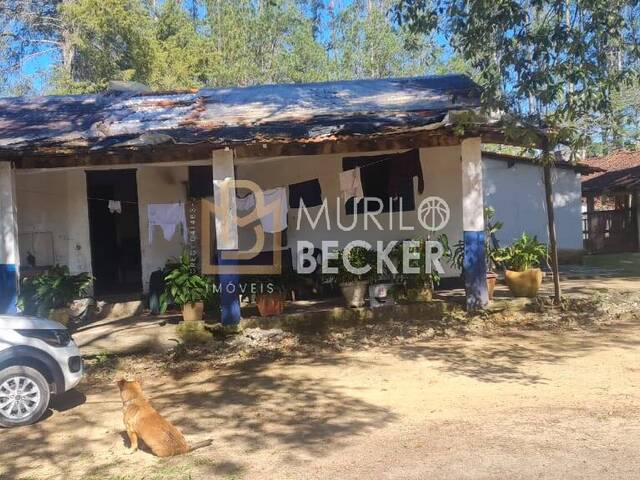 #FA5254 - Fazenda para Venda em Monteiro Lobato - SP - 3